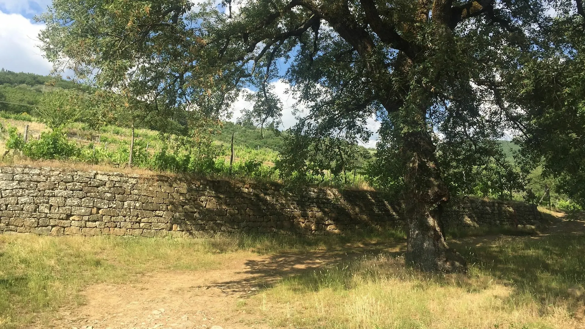 Villa La Grotta San Giustino Valdarno Aparthotel